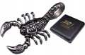 SREBRNY-SKORPION-NA LANCUSZEK-STAL-SZLACHETNA-316L-BOSTON-JEWELLERY.jpg