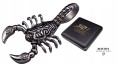 SREBRNY-SKORPION-NA LANCUSZEK-STAL-SZLACHETNA-316L-BOSTON-JEWELLERY.jpg
