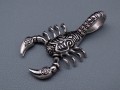 SREBRNY-SKORPION-NA-LANCUSZEK-STAL-SZLACHETNA-316L-BOSTON-JEWELLERY.jpg