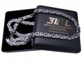 SREBRNY-LANCUSZEK-NA-SZYJE-STAL-CHIRURGICZNA-316L-BOSTON-JEWELLERY.jpg